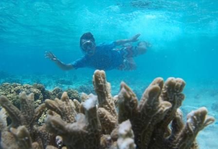 Bali plongée sous-marine, une expérience hors du commun