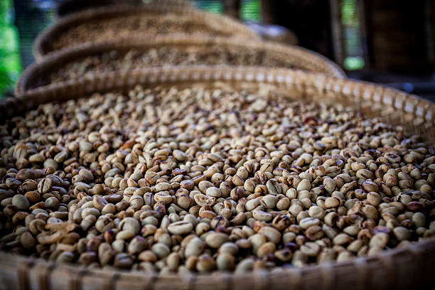 Sumatran Mandheling coffe beans