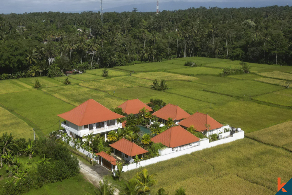 Villa surrounded by nature in Ubud