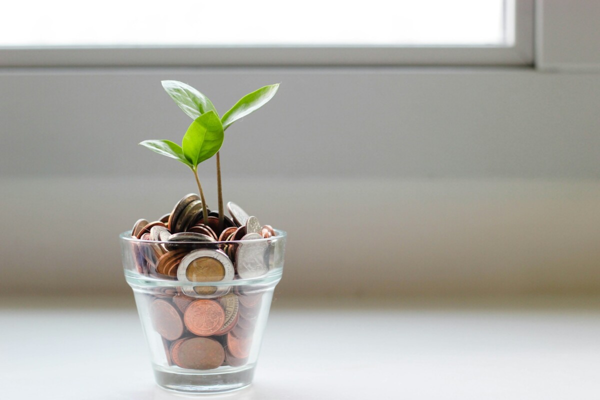 a growing tree in a bowl of coins
