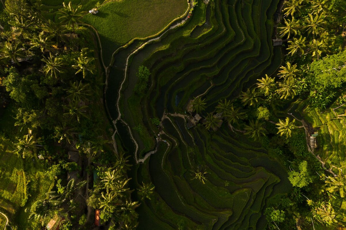 Terrain à Bali