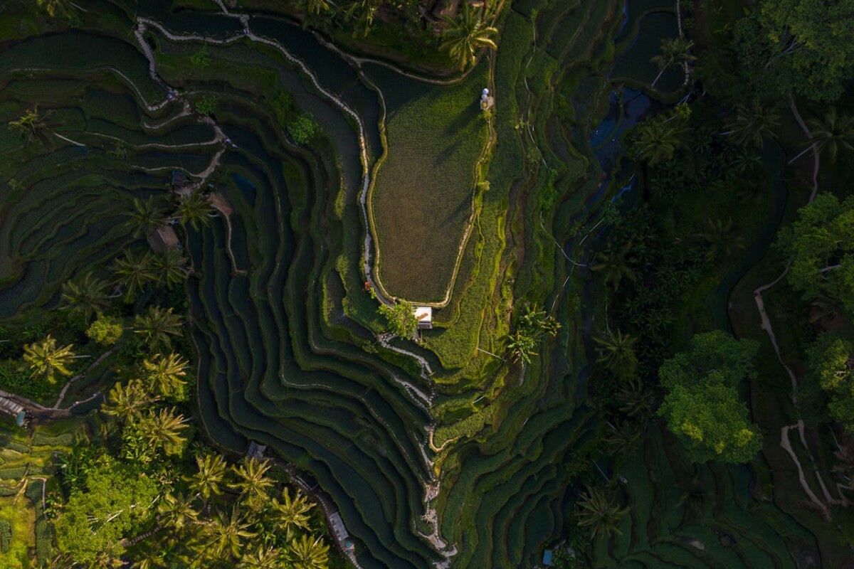 terrain à Bali