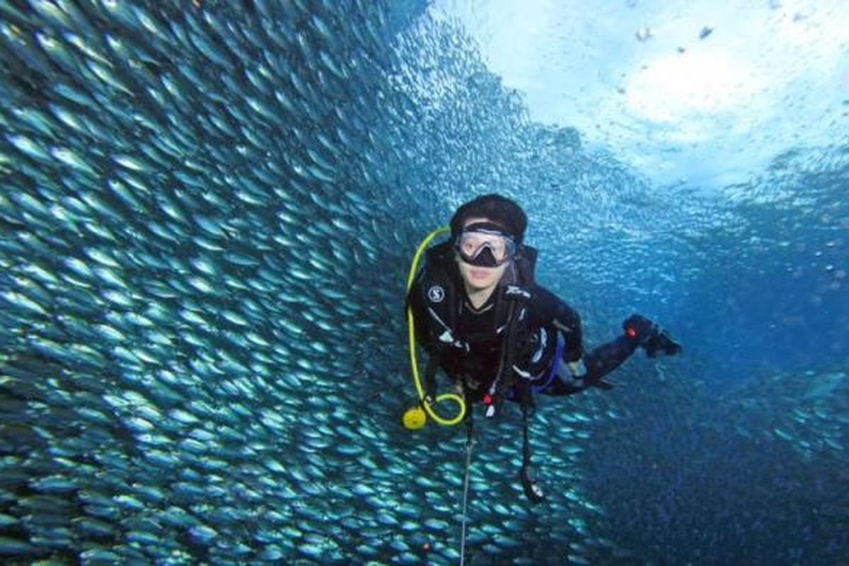 Raja Ampat diving